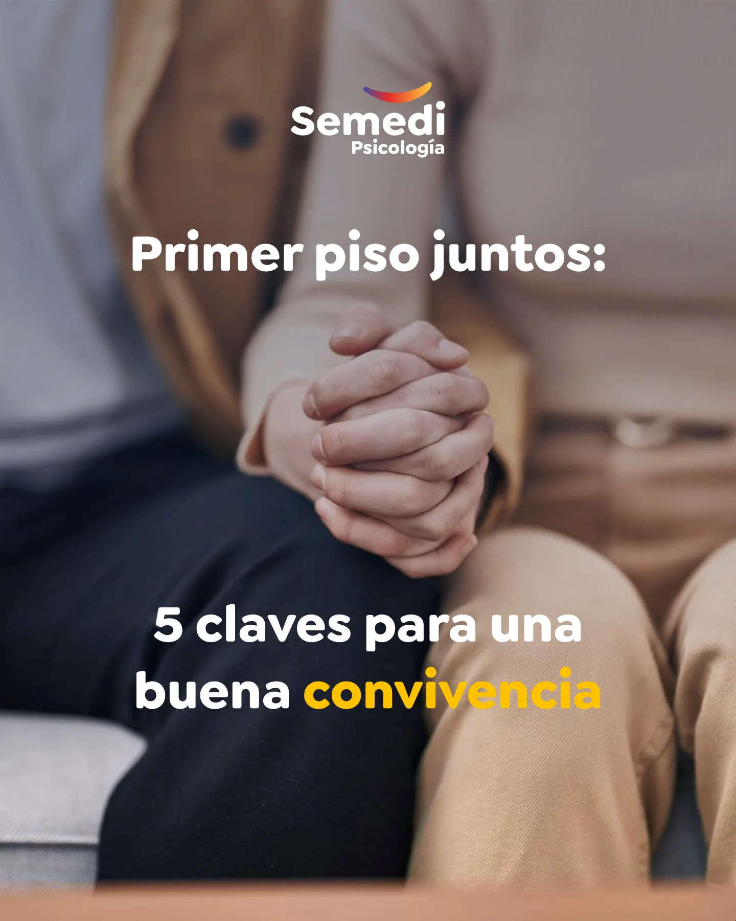 Dos personas en el sofá con las manos entrelazadas, imagen sobre convivencia en pareja y terapia de pareja en Málaga centro
